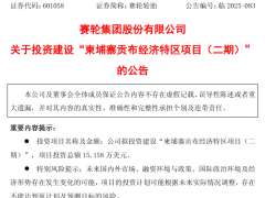 賽輪投資1.52億美元，重點引入炭黑等相關產業！